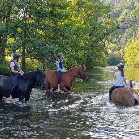 Muehle In Der Pferdewelt Reichenau Lejlighed Eksteriør billede