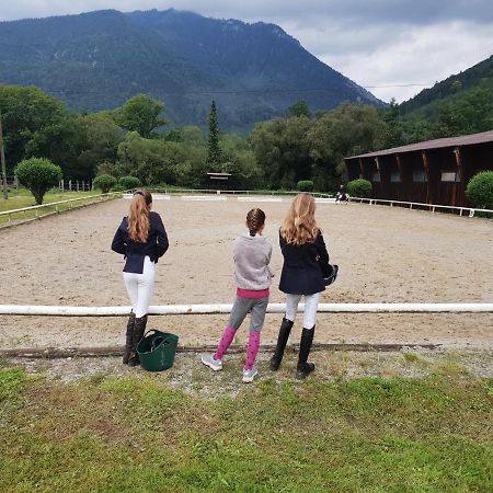 Muehle In Der Pferdewelt Reichenau Lejlighed Eksteriør billede