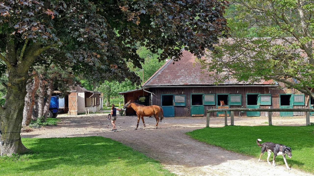 Muehle In Der Pferdewelt Reichenau Lejlighed Eksteriør billede