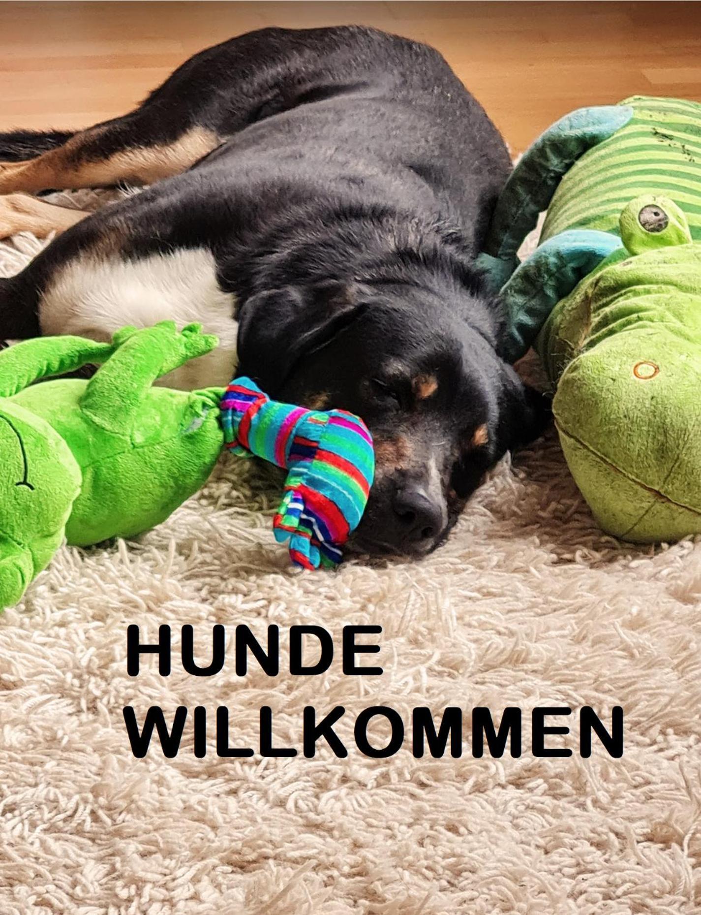 Muehle In Der Pferdewelt Reichenau Lejlighed Eksteriør billede